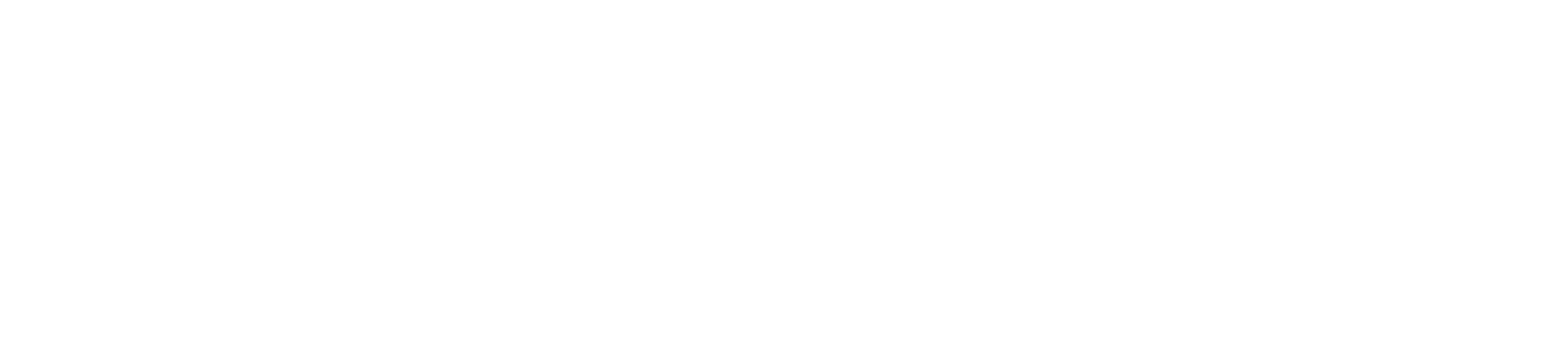 light logo