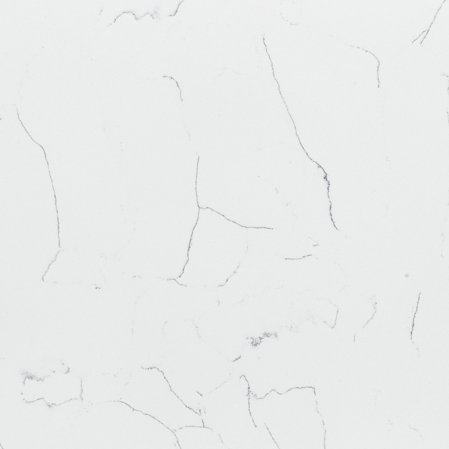 White Lightning BQ8440 Closeup